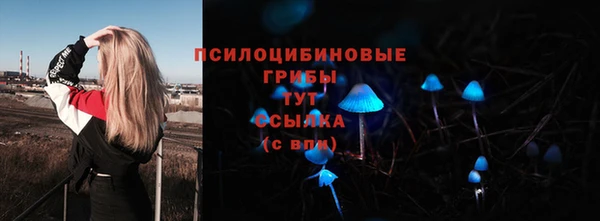 кокс Приозерск