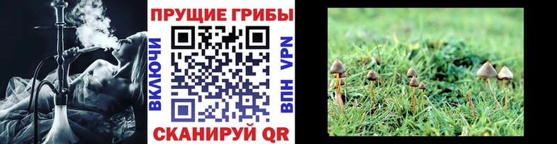 купить наркотики сайты  Щёкино  Галлюциногенные грибы ЛСД 
